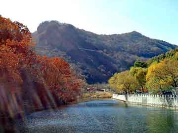 澳门天天免费精准大全，柴油机型号